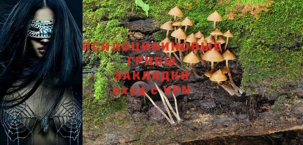 экстази Бородино