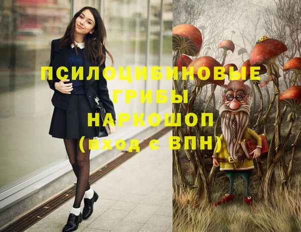 молекула духа Алексеевка