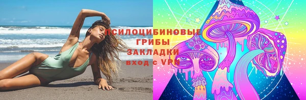 гидропоника Арсеньев